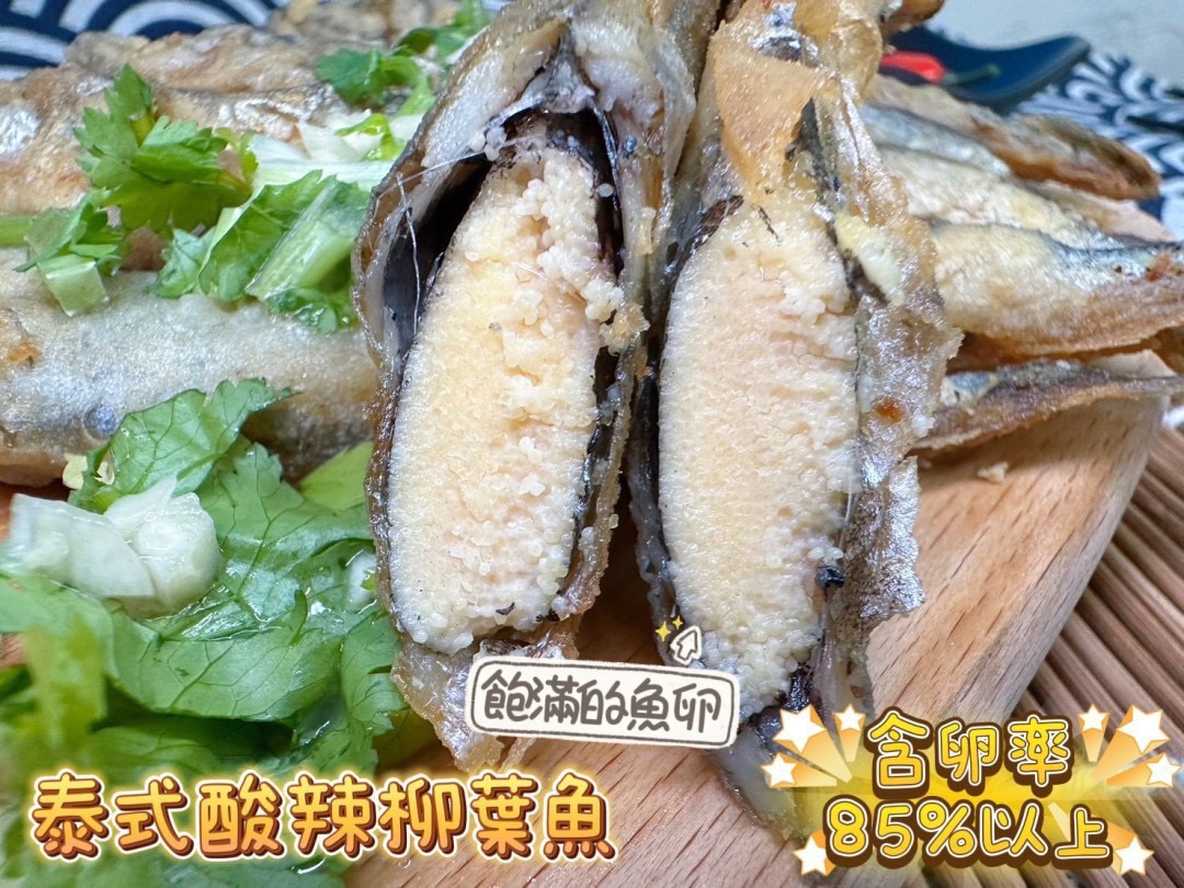 生鮮凍帶卵柳葉魚