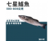 七星鱸魚
