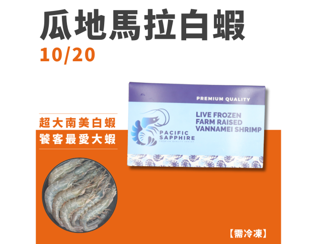瓜地馬拉白蝦10/20