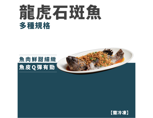 龍虎石斑魚