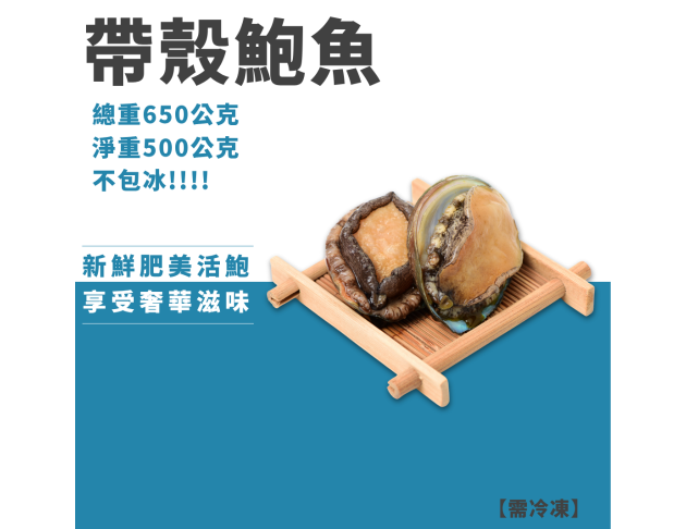 帶殼鮑魚