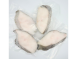 鱈魚切片（比目魚）
