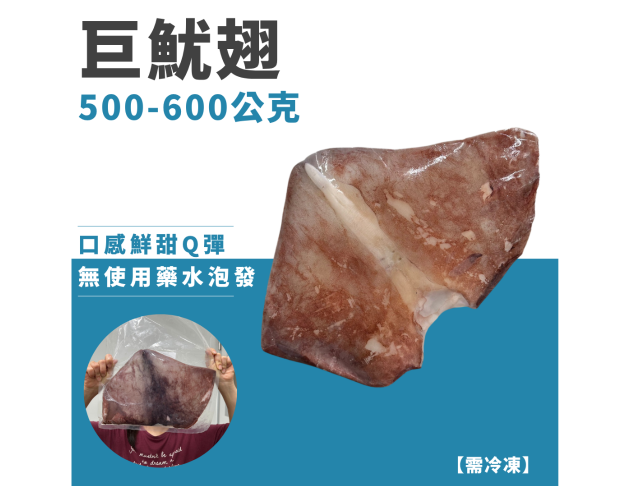 巨無霸魷魚翅