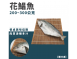 花鯧魚