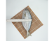 花鯧魚