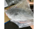 花鯧魚