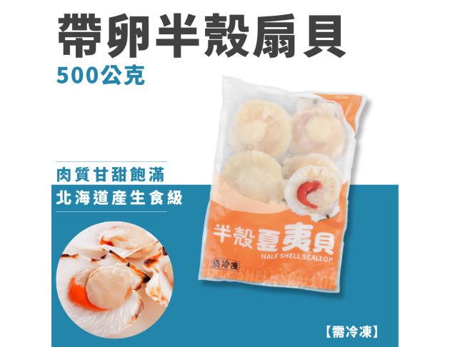 帶卵半殻扇貝
