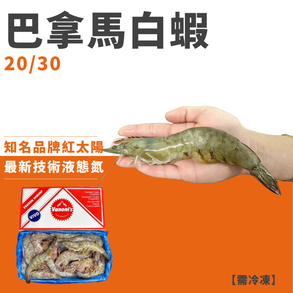 巴拿馬白蝦20/30｜紅太陽